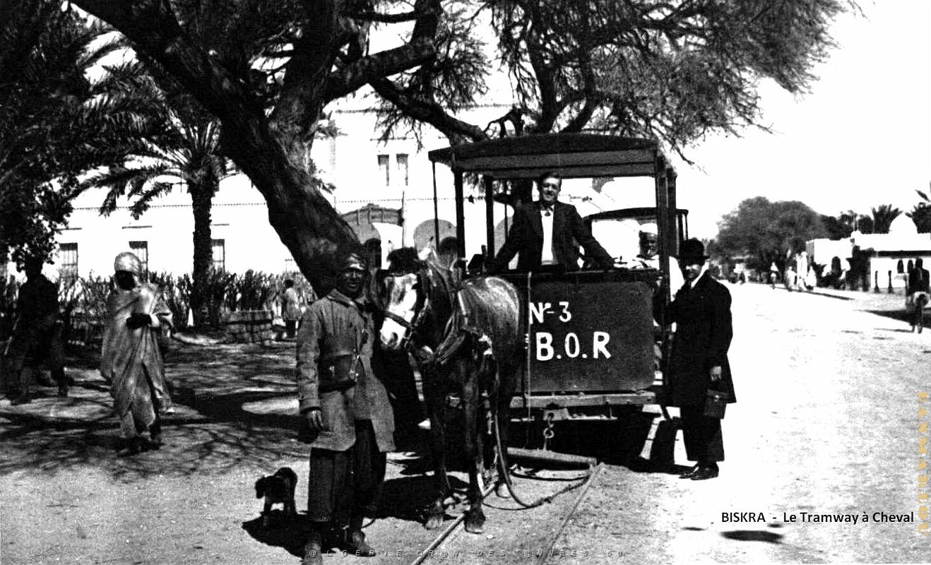 Biskra -Tramway a Cheval.jpg